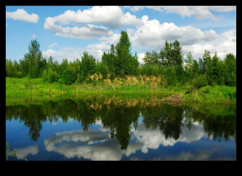 Pondering Reflections II: Lacuri și iazuri în diferite dispoziții