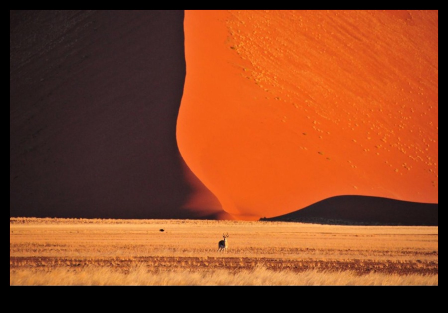 Desert Dreamscape: Dezvăluirea frumuseții peisajelor aride