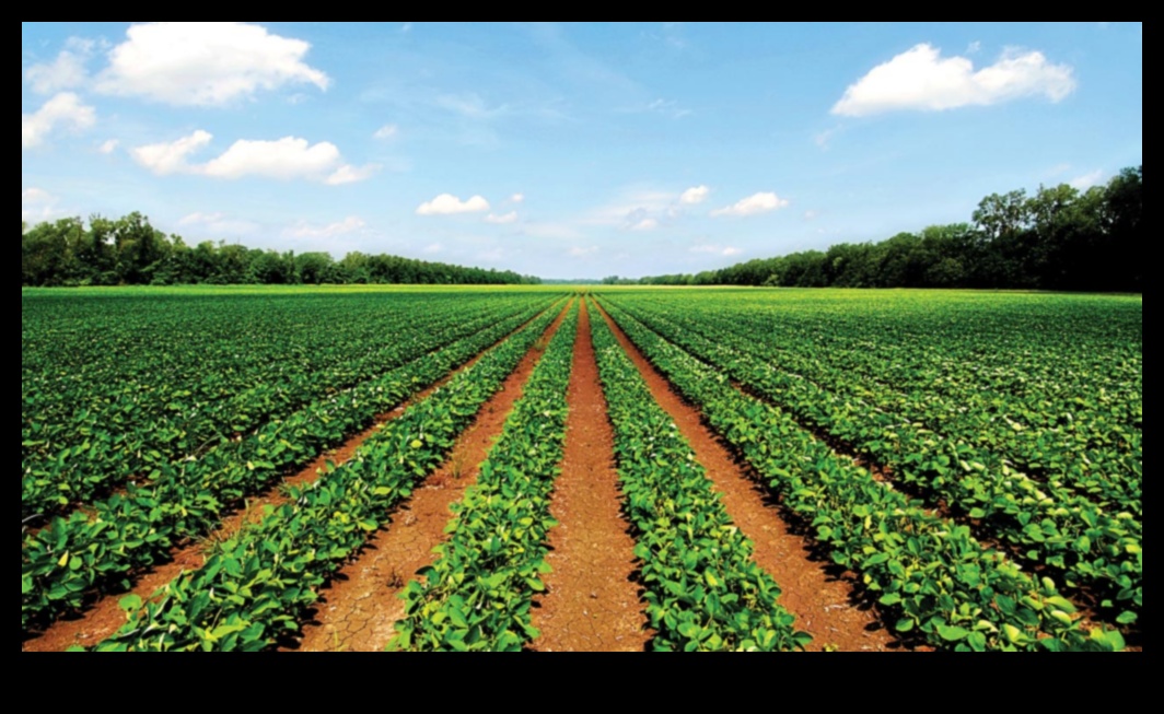 Cum contribuie diferitele practici agricole la sustenabilitatea peisajelor?