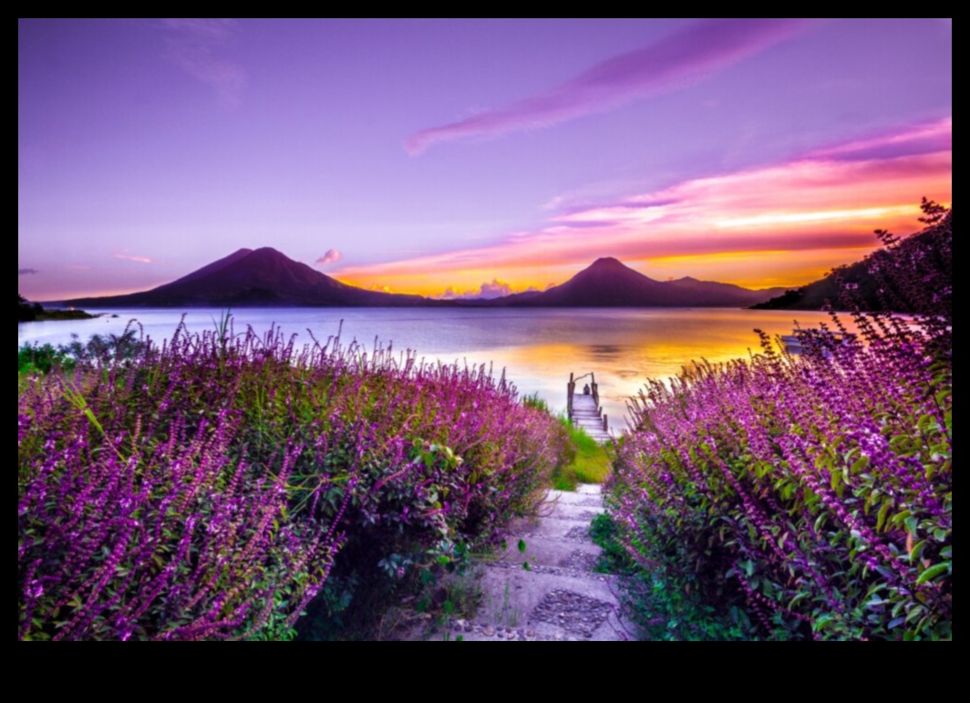 Traverse the Beauty: O expediție de fotografie de peisaj dezvăluită