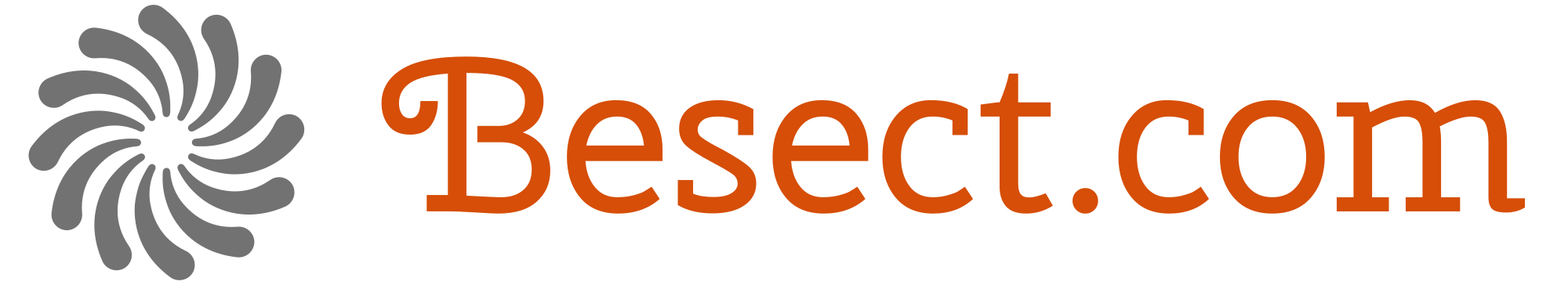 Besect.com