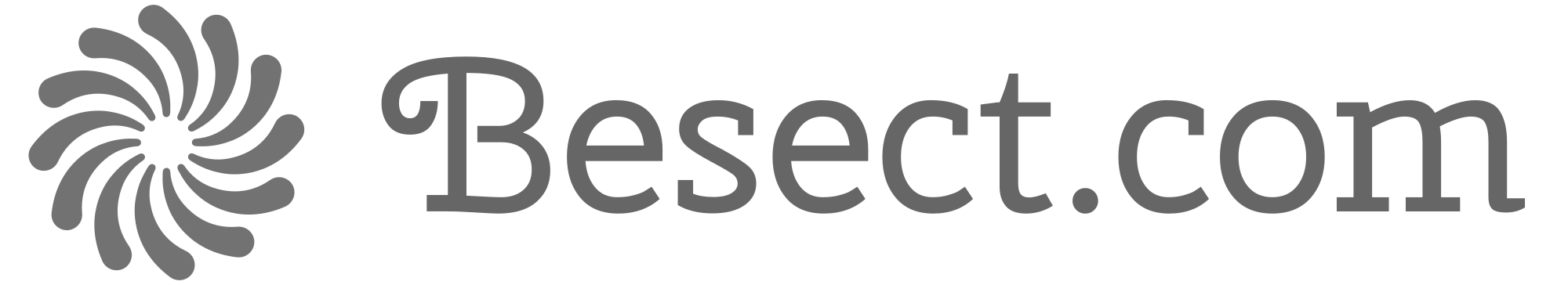 Besect.com